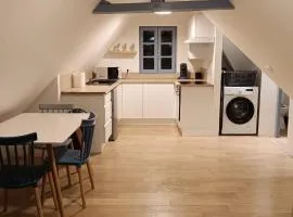 Appartement cosy 1 chambre avec parking au coeur du centre ville