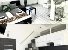 Belv&aacute;rosi Apartman, ubytovanie s k&uacute;peľmi onsen v Mi&scaron;kolci