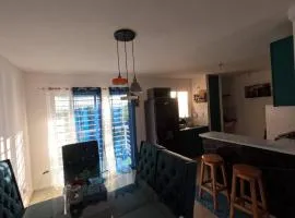 Charming 2-Bedroom Apartment with Stunning Views in Santiago