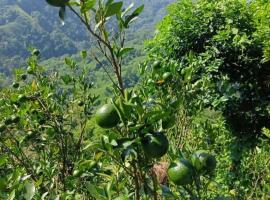 Damphu Homestay, hotel din Mirik