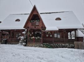 Casa cu traditie, Hotel in Sîrbi