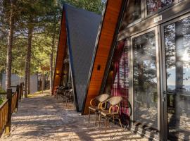 Golden Cabin 4 Gjinar by PikHost, hotel u gradu Elbasan