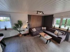 Ferienhaus-Ohrenqualle