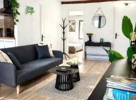 Jungle Suite - Draguignan