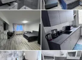 Brand-New Renovated Studio Apartment