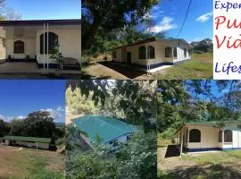 Aura Living
