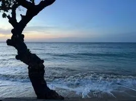 10 Minutes Away From Beach Comfortable Stay With Breakfast