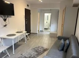 Renata Apartments Mihai Bravu