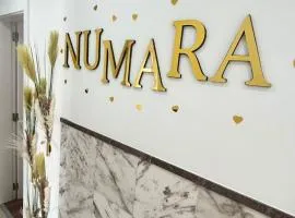 Alojamento Numara