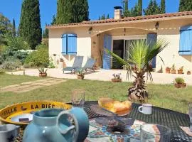 Vintage Provence