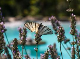 OASI LIGNANA Country Chic Apartments, nestled in a 40-hectare estate, hotel a Pescia