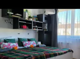 Studio Viva - Cosy Flat in Budapest - Free Parking