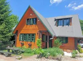 Casa Edelweiss - Gyopár - Flore de colt