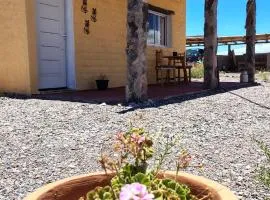 Las Retamas de Fiambala