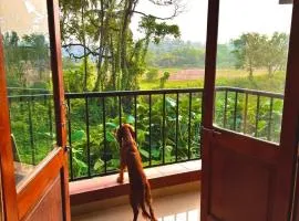 Sky Serein Farm view, Pool, 10mins to Baga