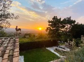 Domus Antiqua Bed & Breakfast