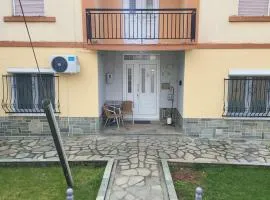 Αυλή της Ελιάς