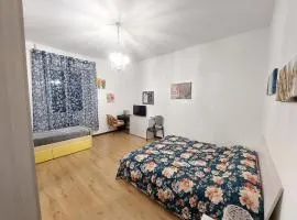 city view - malpensa MXP e milano - rho fiera comodo per Malpensa express