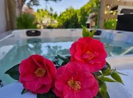 Villa 11 pers 4CH - Jacuzzi - Le Cormier