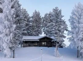 Grand Villa Olavi Private Sauna and Hot Tub