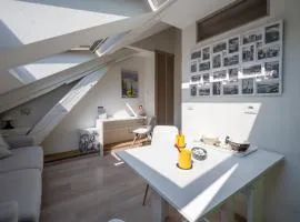 Studio sous les toits Annecy Centre-Ville