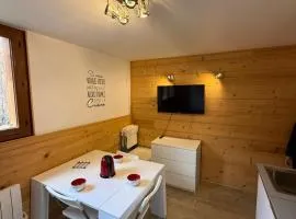 Bright apartment near the slopes