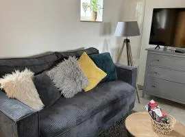 Maison au cœur de l'Alsace -2 appartements