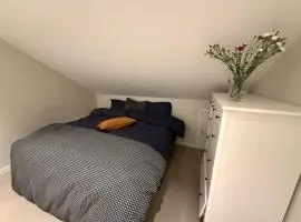 Beautiful and modern house with 4 bedrooms and 2 bathrooms