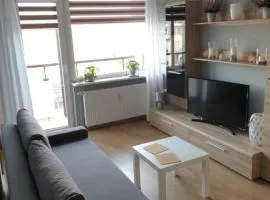Apartament 6