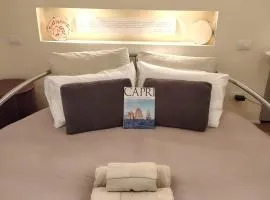 Central Studio 49 passi