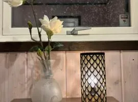 Koselig rom i studentfelleskap