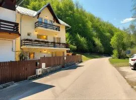Casa Sonne Bușteni