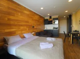 Modern Gudauri Loft 2 Studio Apartment - by Wehost