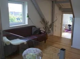 245 m2 super cosy villa