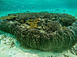 Sau Baryam, Hotel in Fam