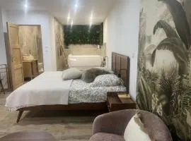 Escapade Bien Être - Studio avec balnéothérapie