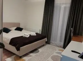 Apartament cozy cu terasa Sibiu