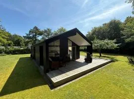 Modern And Stylish Summer Cabin