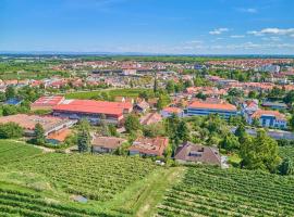 Weinbergnest, hotel u gradu Bad Dirkhajm