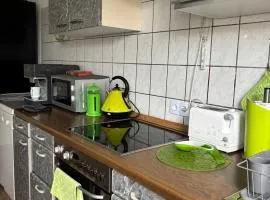 Apartment near the center