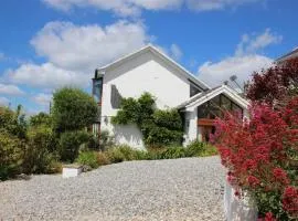 Cormorants Polruan village sea coastline views