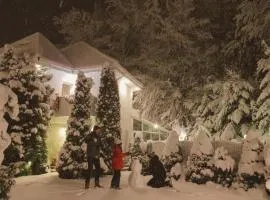 "FOREST RETREAT Luxury Villas"