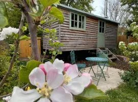 Seaside Shepherd's Hut