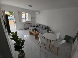 Shiamis Modern House