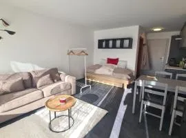Studio rénové Ovronnaz chalet Orion