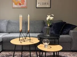 Midt i Raufoss, stor leilighet med hage