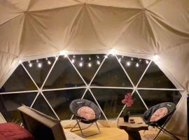 Domo Glamping en el bosque - Coñaripe, Hotel in Coñaripe