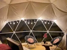 Domo Glamping en el bosque - Coñaripe