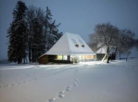 DejaView Casa Veche, Hotel in Rogojel