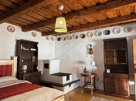 DejaView Casa Veche, hotel v destinaci Rogojel